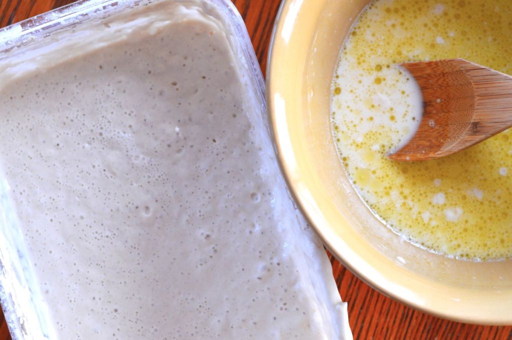 active sourdough starter in container next to bowl of mixed ingredients for English muffins